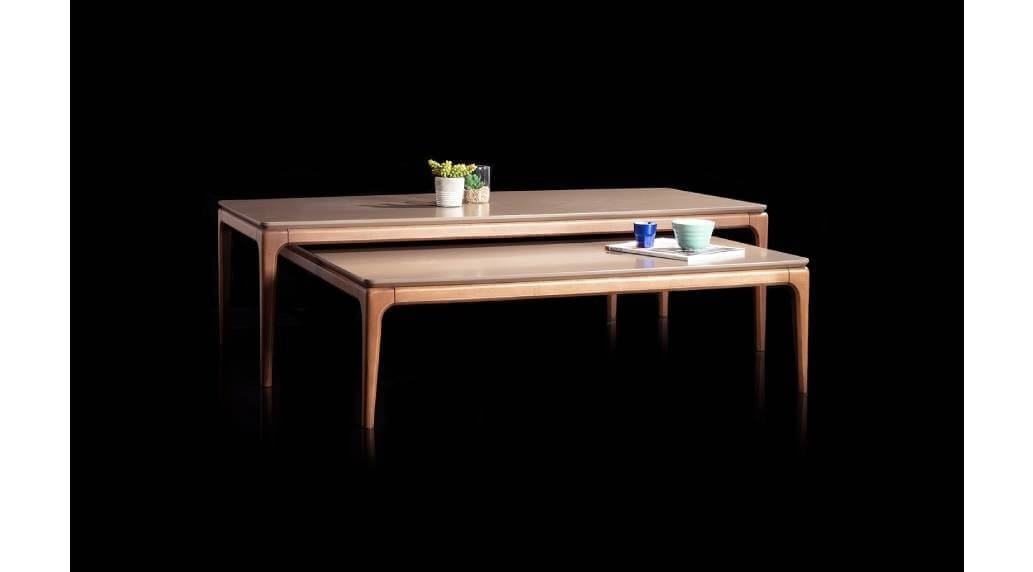 שולחן עץ לסלון דגם JUNGLE ORTA 